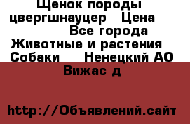 Щенок породы  цвергшнауцер › Цена ­ 30 000 - Все города Животные и растения » Собаки   . Ненецкий АО,Вижас д.